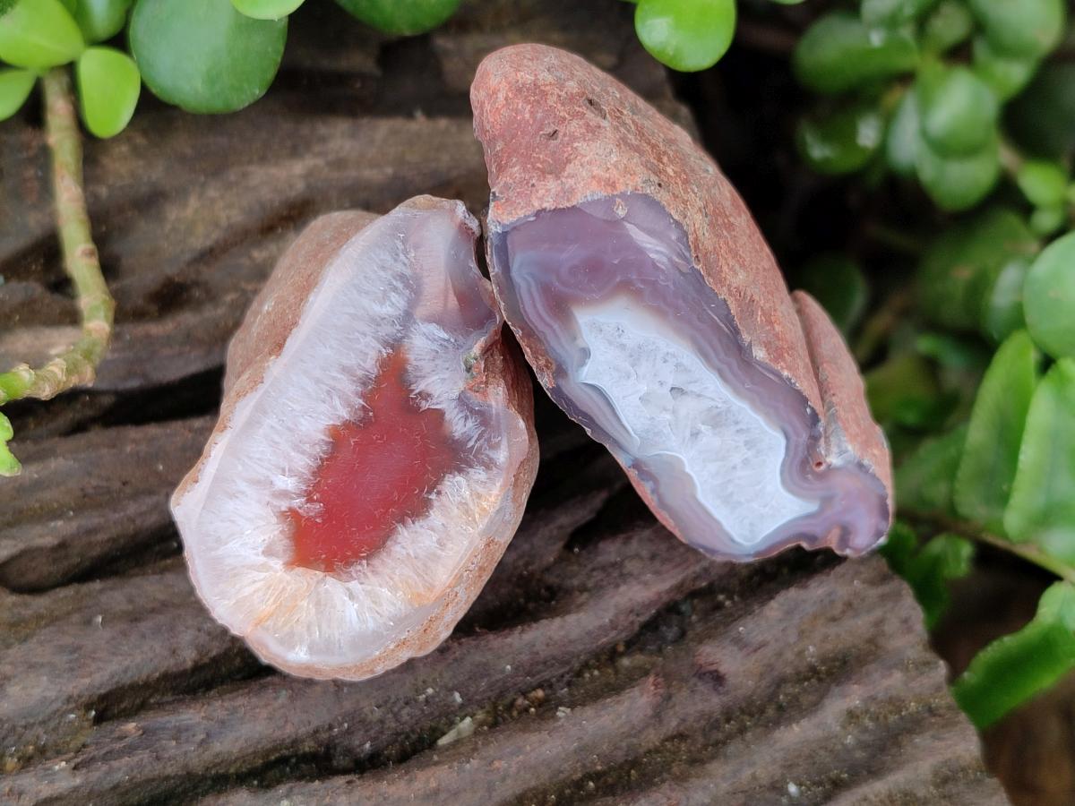Polished On One Side Red Shashe River Agate Nodules x 35 From Shashe River, Zimbabwe