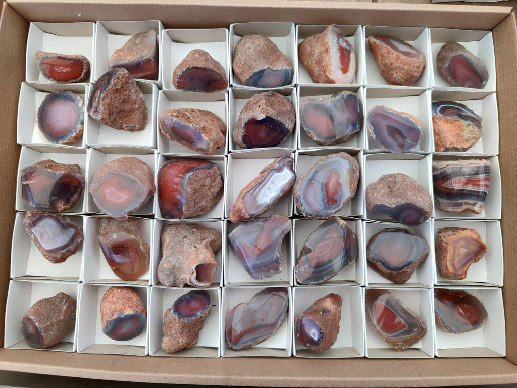 Polished On One Side Red Shashe River Agate Nodules x 35 From Shashe River, Zimbabwe