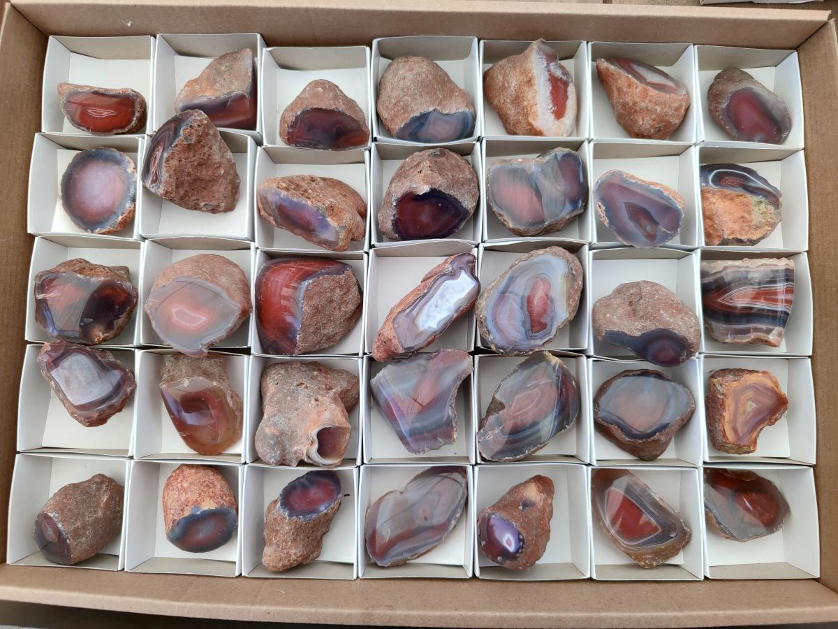 Polished On One Side Red Shashe River Agate Nodules x 35 From Shashe River, Zimbabwe