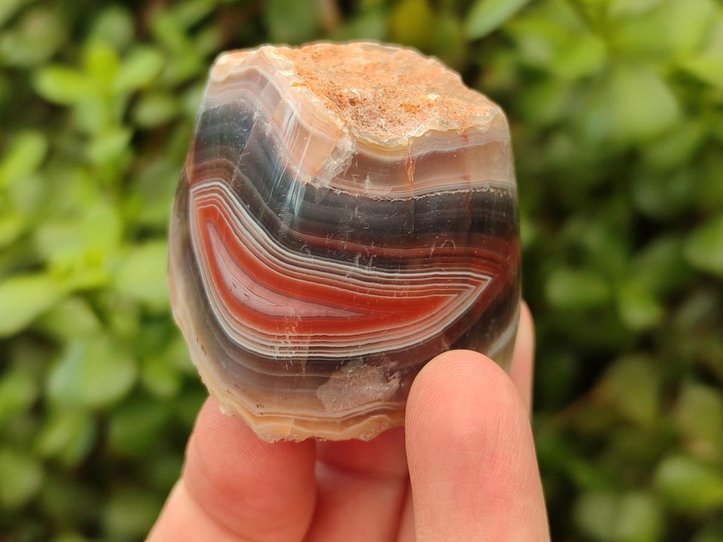 Polished On One Side Red Shashe River Agate Nodules x 35 From Shashe River, Zimbabwe