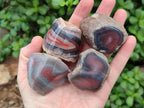 Polished On One Side Red Shashe River Agate Nodules x 35 From Shashe River, Zimbabwe