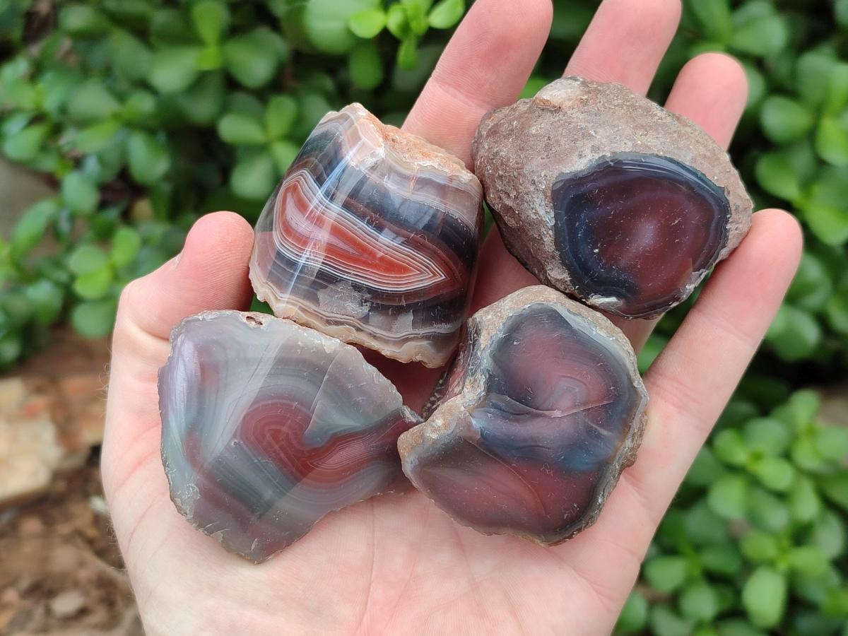 Polished On One Side Red Shashe River Agate Nodules x 35 From Shashe River, Zimbabwe
