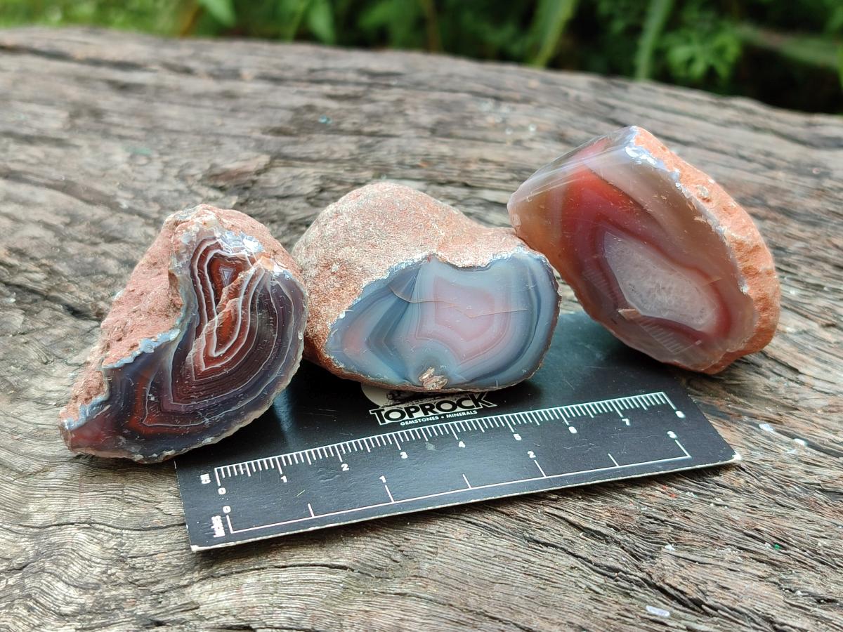 Polished On One Side Red Shashe River Agate Nodules x 35 From Shashe River, Zimbabwe