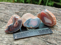 Polished On One Side Red Shashe River Agate Nodules x 35 From Shashe River, Zimbabwe