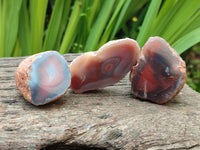 Polished On One Side Red Shashe River Agate Nodules x 35 From Shashe River, Zimbabwe