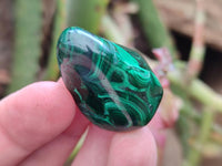Polished Flower Banded Malachite Free Forms x 35 From Congo