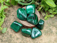 Polished Flower Banded Malachite Free Forms x 35 From Congo