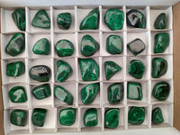 Polished Flower Banded Malachite Free Forms x 35 From Congo