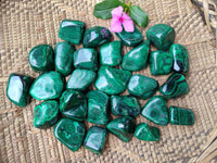 Polished Flower Banded Malachite Free Forms x 35 From Congo