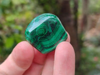 Polished Flower Banded Malachite Free Forms x 35 From Congo