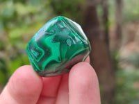 Polished Flower Banded Malachite Free Forms x 35 From Congo