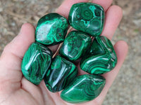 Polished Flower Banded Malachite Free Forms x 35 From Congo