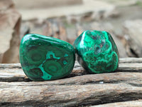 Polished Flower Banded Malachite Free Forms x 35 From Congo