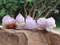 Natural Sunburst Amethyst Spirit Crystal Clusters x 20 From Boekenhouthoek, South Africa