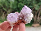Natural Sunburst Amethyst Spirit Crystal Clusters x 20 From Boekenhouthoek, South Africa