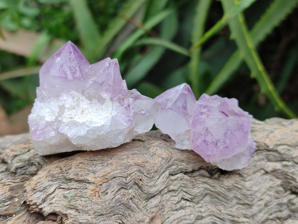 Natural Sunburst Amethyst Spirit Crystal Clusters x 20 From Boekenhouthoek, South Africa