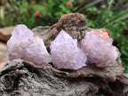 Natural Sunburst Amethyst Spirit Crystal Clusters x 20 From Boekenhouthoek, South Africa