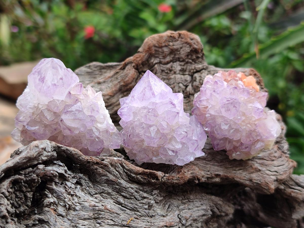 Natural Sunburst Amethyst Spirit Crystal Clusters x 20 From Boekenhouthoek, South Africa