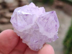 Natural Sunburst Amethyst Spirit Crystal Clusters x 20 From Boekenhouthoek, South Africa