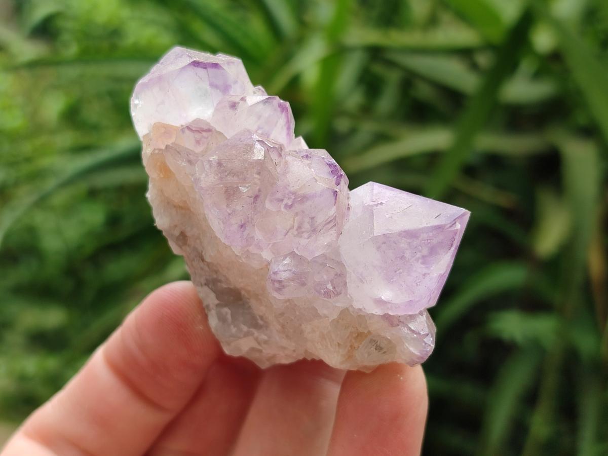 Natural Sunburst Amethyst Spirit Crystal Clusters x 20 From Boekenhouthoek, South Africa