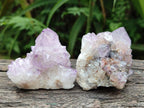 Natural Sunburst Amethyst Spirit Crystal Clusters x 20 From Boekenhouthoek, South Africa