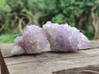 Natural Sunburst Amethyst Spirit Crystal Clusters x 20 From Boekenhouthoek, South Africa