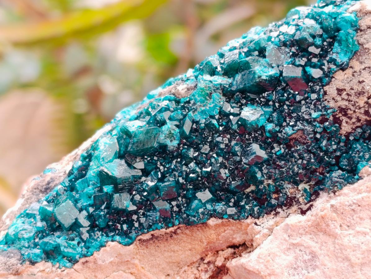 Natural XL Dioptase On Dolomite Specimen x 1 From Tantara Mine, Congo