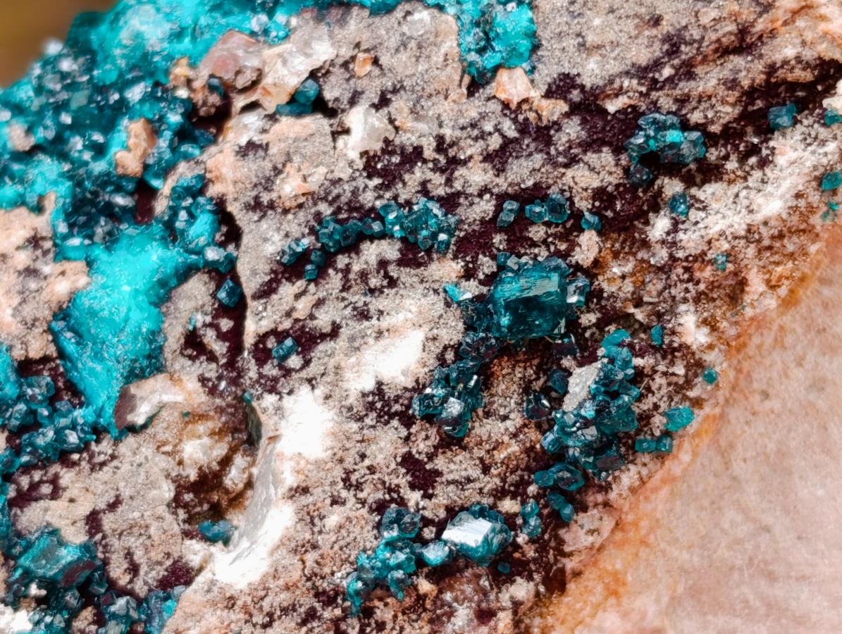 Natural XL Dioptase On Dolomite Specimen x 1 From Tantara Mine, Congo