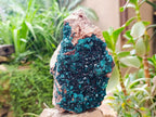 Natural XL Dioptase On Dolomite Specimen x 1 From Tantara Mine, Congo