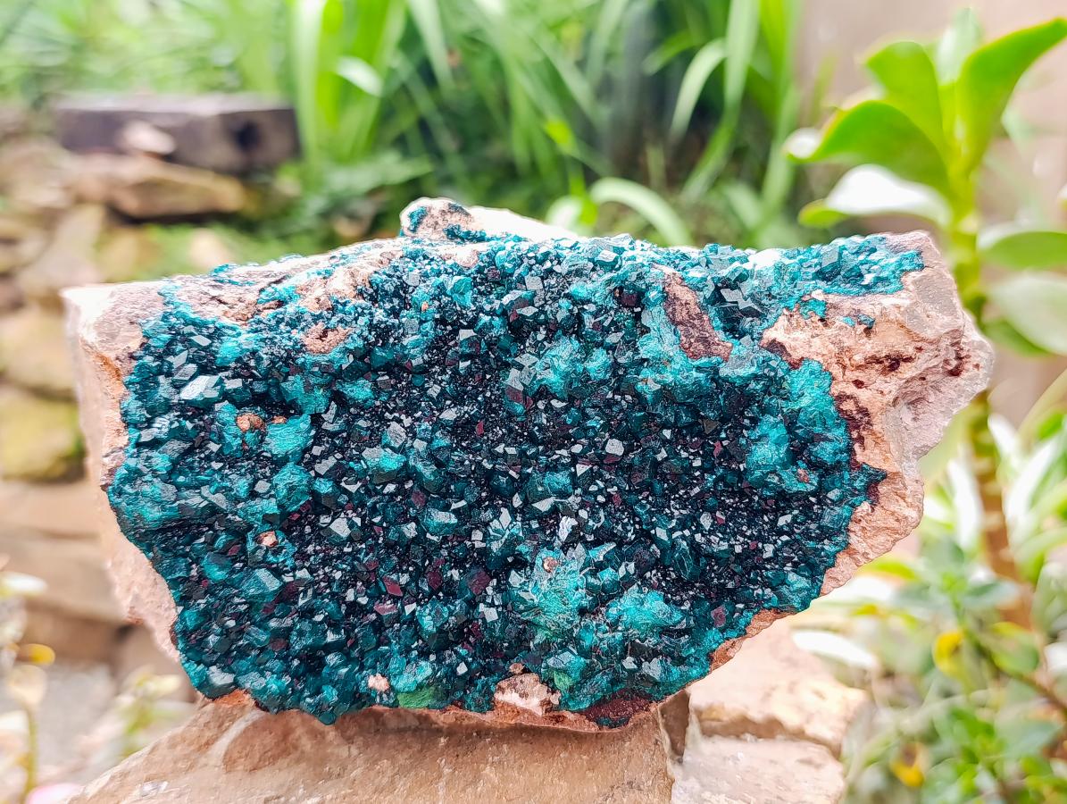 Natural XL Dioptase On Dolomite Specimen x 1 From Tantara Mine, Congo