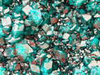 Natural XL Dioptase On Dolomite Specimen x 1 From Tantara Mine, Congo