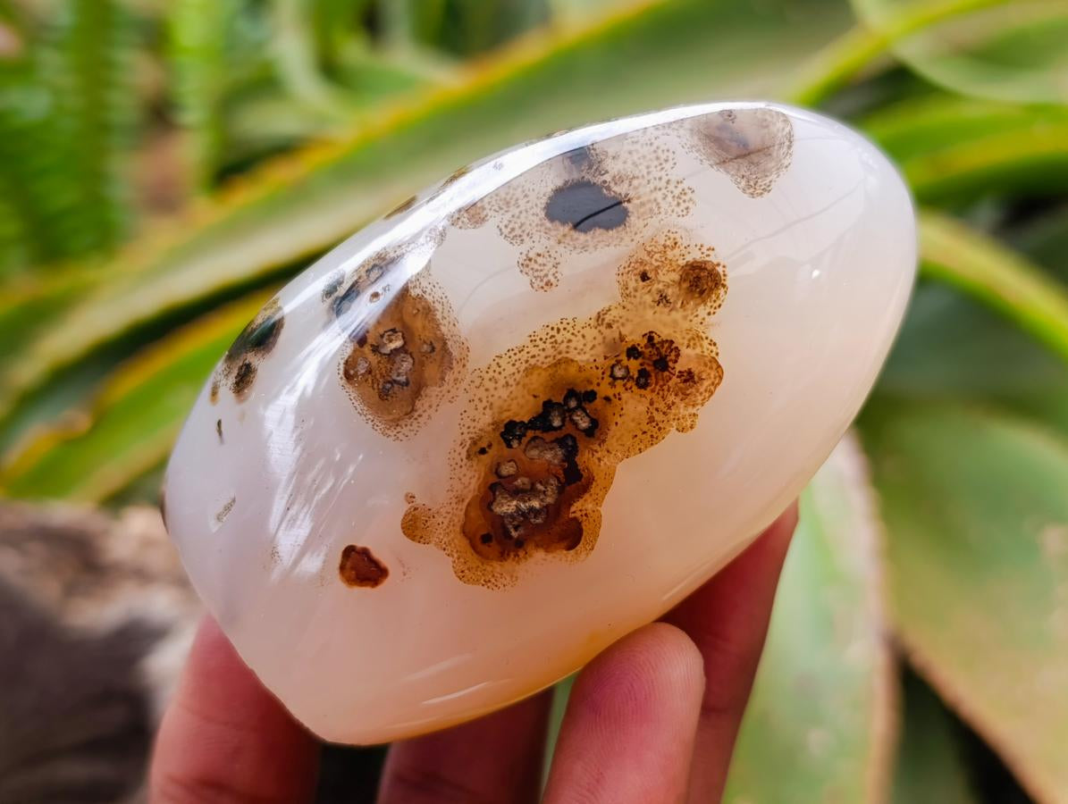 Polished Dendritic Agate Standing Free Forms x 6 From Moralambo, Madagascar