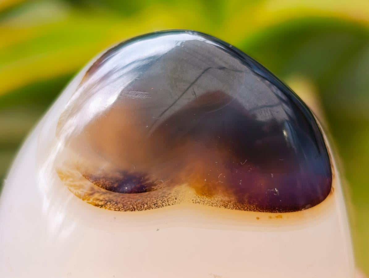 Polished Dendritic Agate Standing Free Forms x 6 From Moralambo, Madagascar