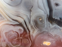 Polished Dendritic Agate Standing Free Forms x 6 From Moralambo, Madagascar