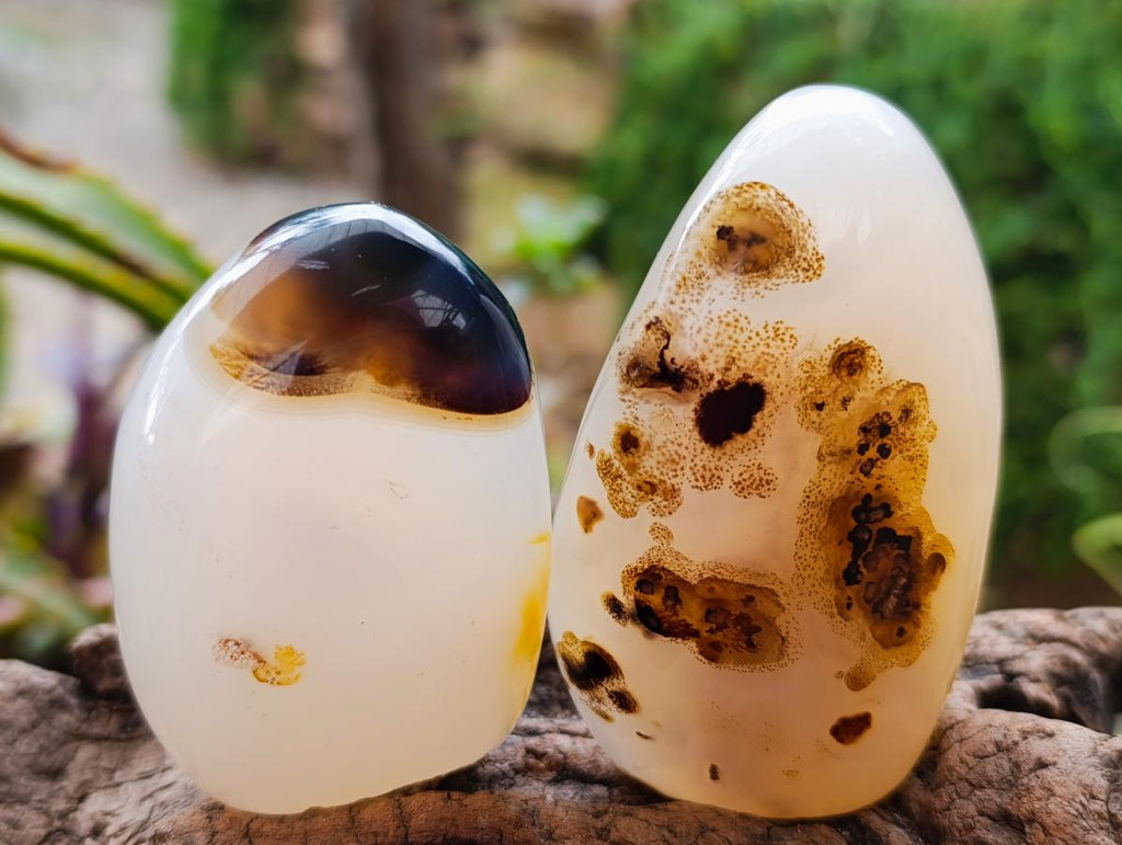 Polished Dendritic Agate Standing Free Forms x 6 From Moralambo, Madagascar