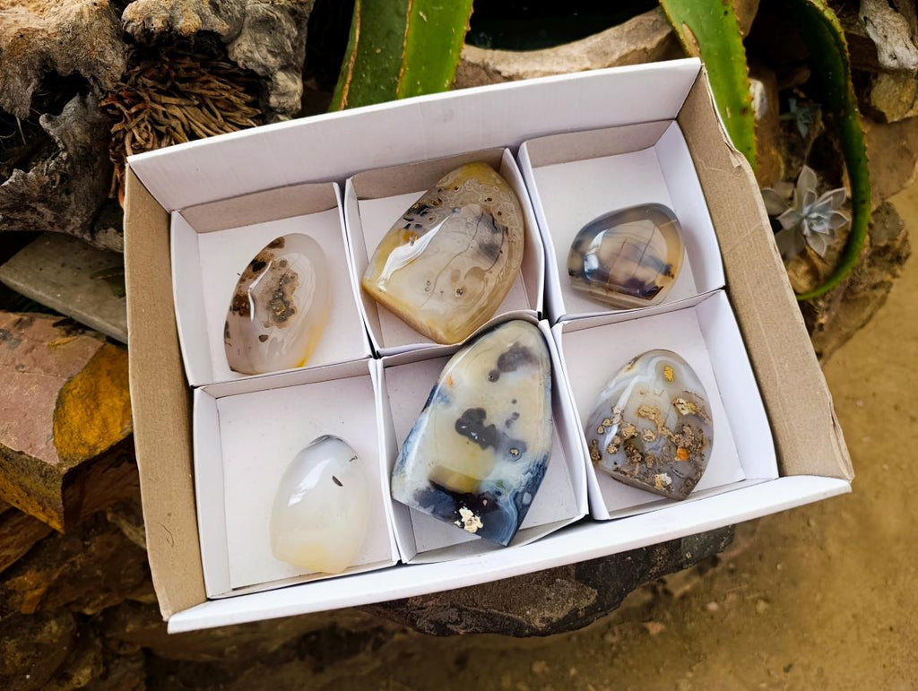 Polished Dendritic Agate Standing Free Forms x 6 From Moralambo, Madagascar
