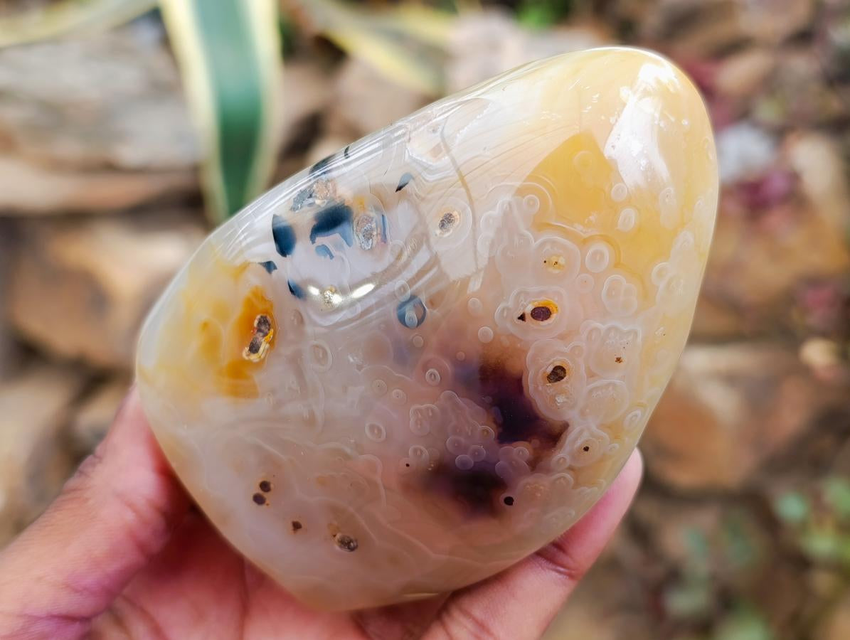 Polished Dendritic Agate Standing Free Forms x 6 From Moralambo, Madagascar