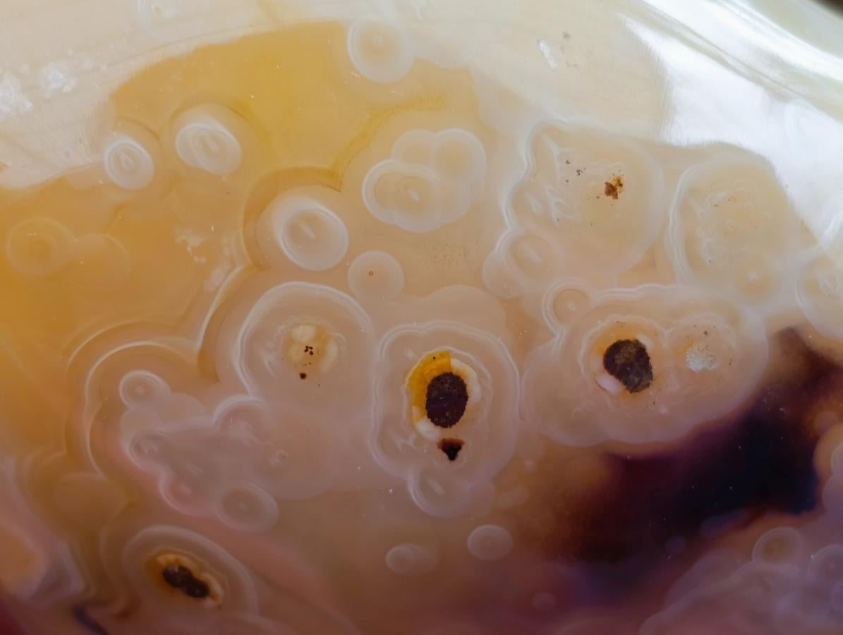 Polished Dendritic Agate Standing Free Forms x 6 From Moralambo, Madagascar