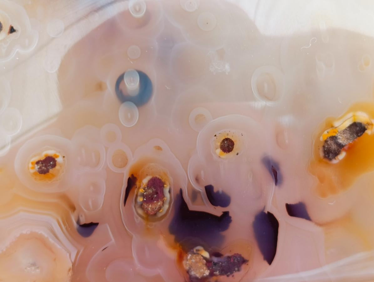 Polished Dendritic Agate Standing Free Forms x 6 From Moralambo, Madagascar