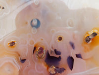 Polished Dendritic Agate Standing Free Forms x 6 From Moralambo, Madagascar