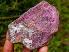 Natural Metallic Purpurite Specimens x 12 From Erongo, Namibia