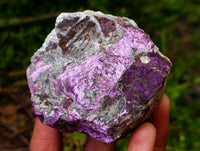 Natural Metallic Purpurite Specimens x 12 From Erongo, Namibia
