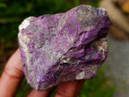 Natural Metallic Purpurite Specimens x 12 From Erongo, Namibia