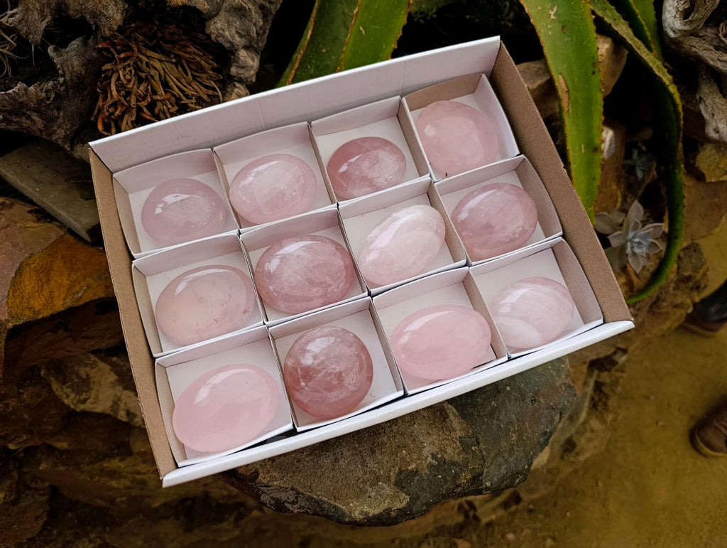 Polished Rose Quartz Palm Stones x 12 From Madagascar