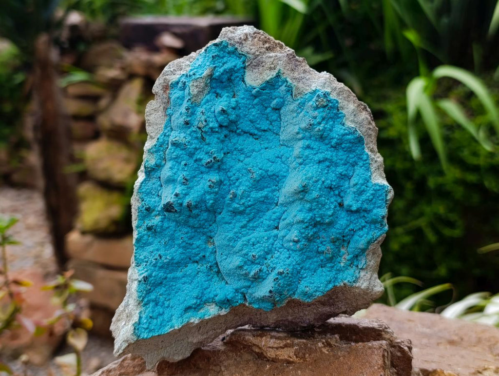 Natural Botryoidal Chrysocolla Specimens x 2 From Lupoto Mine, Congo
