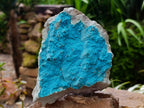 Natural Botryoidal Chrysocolla Specimens x 2 From Lupoto Mine, Congo