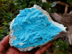 Natural Botryoidal Chrysocolla Specimens x 2 From Lupoto Mine, Congo