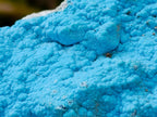 Natural Botryoidal Chrysocolla Specimens x 2 From Lupoto Mine, Congo