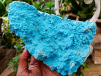 Natural Botryoidal Chrysocolla Specimens x 2 From Lupoto Mine, Congo