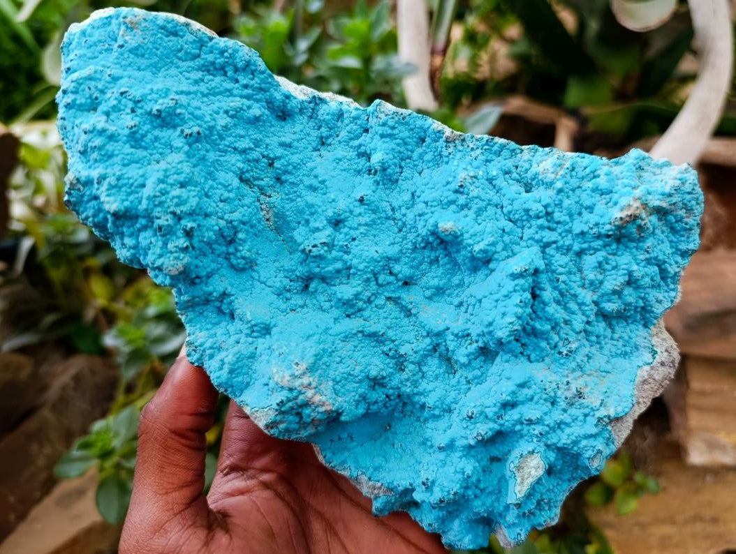 Natural Botryoidal Chrysocolla Specimens x 2 From Lupoto Mine, Congo